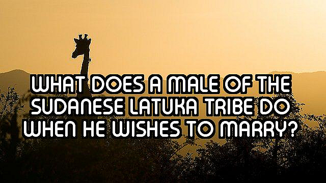 How Well Do You Know Africa