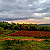 Post: Sunset In The Countryside