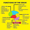 Ternenge Bernard